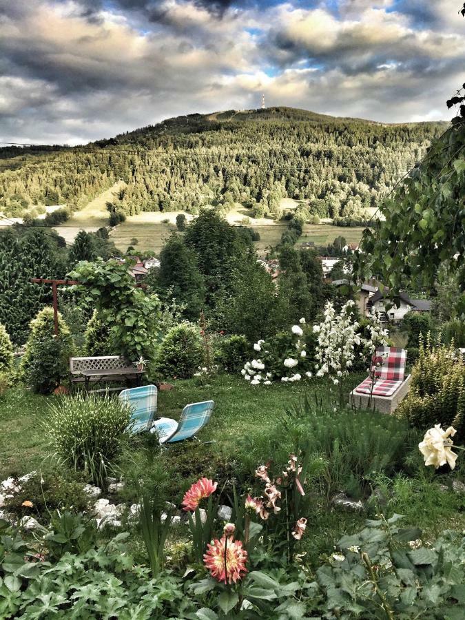 Willa Wierchy Szczyrk Eksteriør bilde